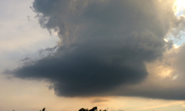 Zvláštní Cumulus se stočenou základnou 19. 7. 2011