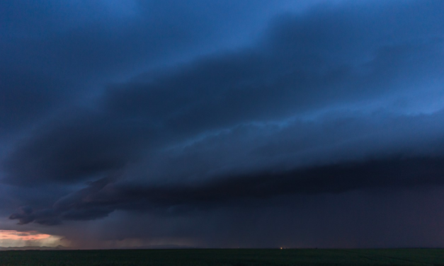 Večerní shelf u Třebusic 21. 5. 2019