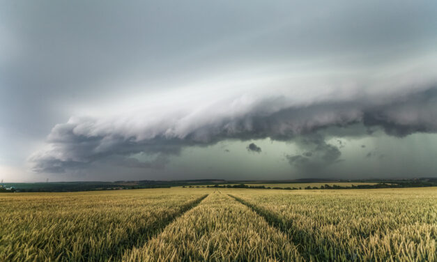 „Zelený shelf“ 13. 7. 2021