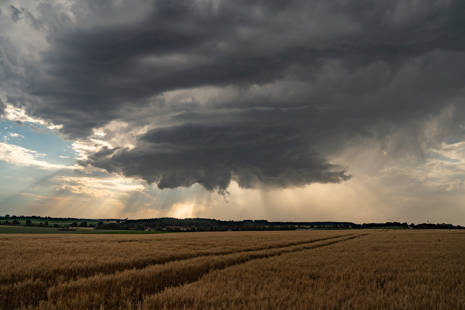 © Dominik Erban